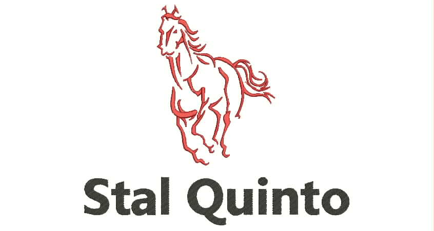 Stal Quinto